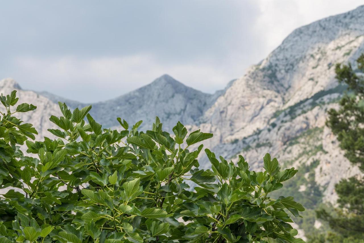 Apartment Strawberry Makarska Buitenkant foto