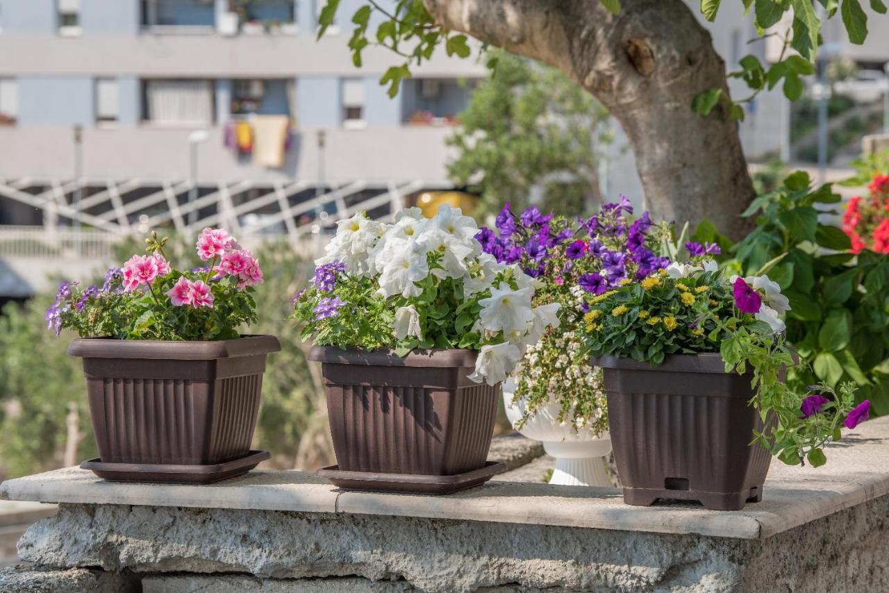 Apartment Strawberry Makarska Buitenkant foto